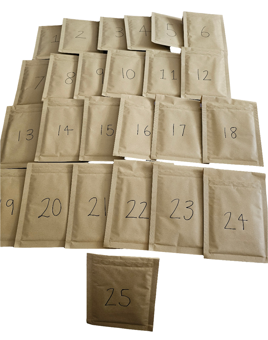 Pokemon Korean Christmas Festive Advent Calendar